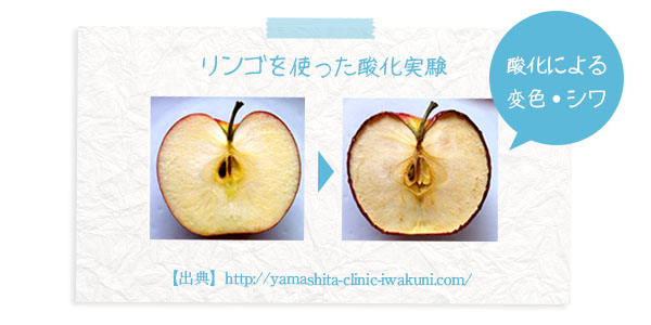 リンゴを使った酸化実験
