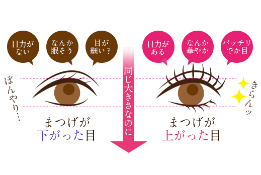 同じ大きさの目の場合の比較